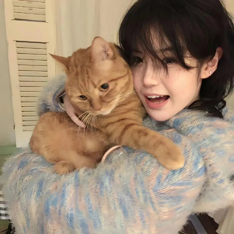 猪仔出更粤语